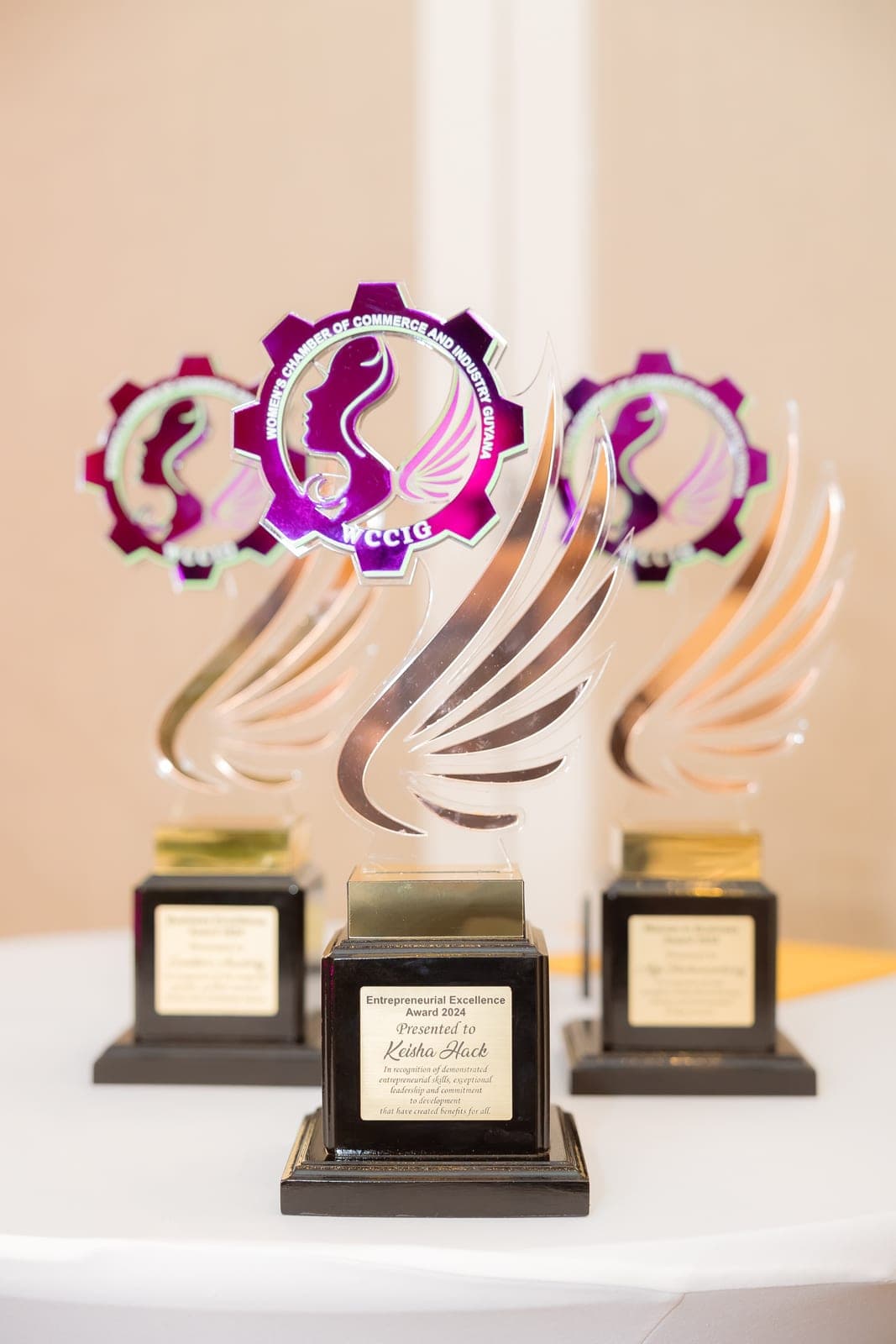 WCCIG Gala 2024 — event photograph