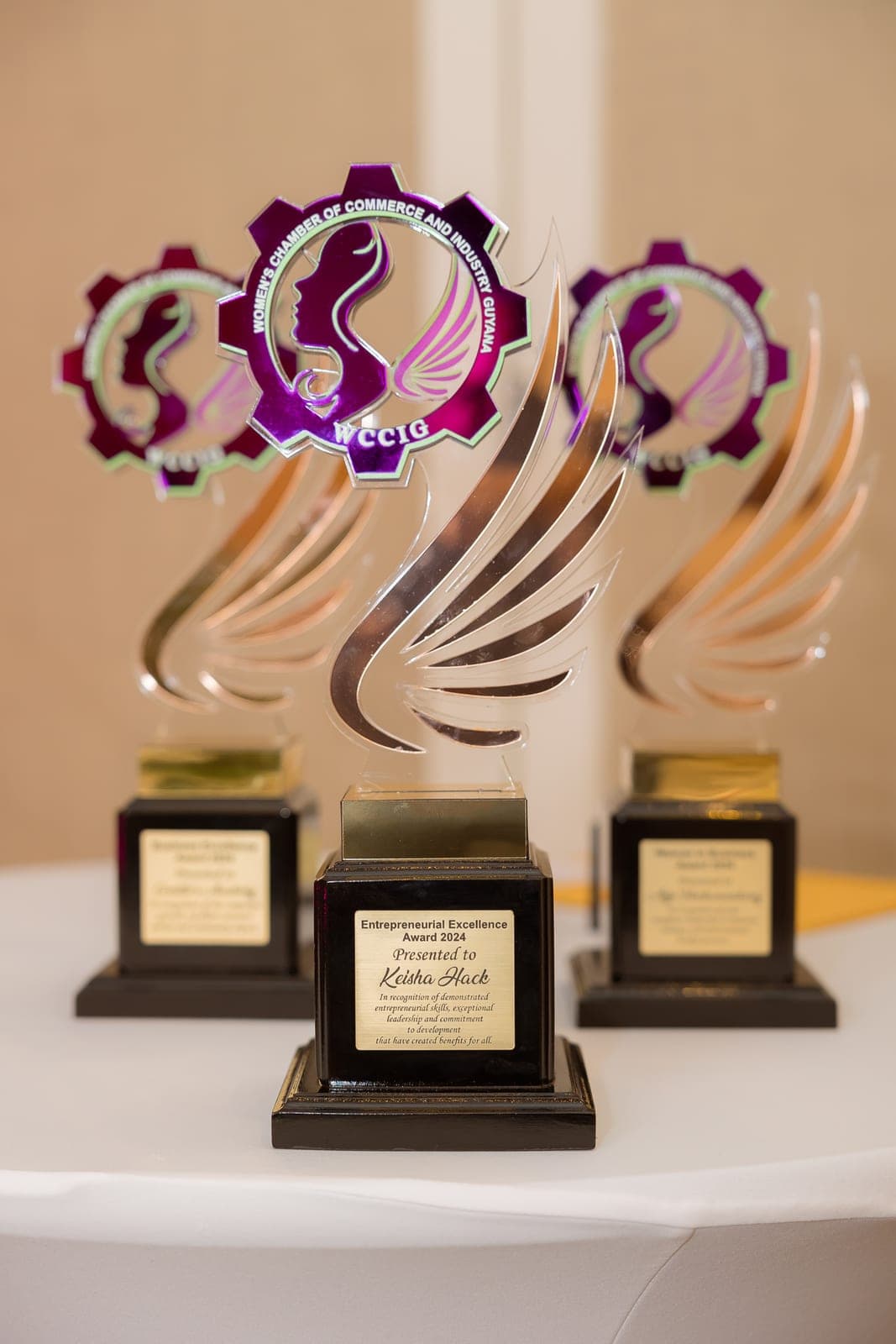 WCCIG Gala 2024 — event photograph