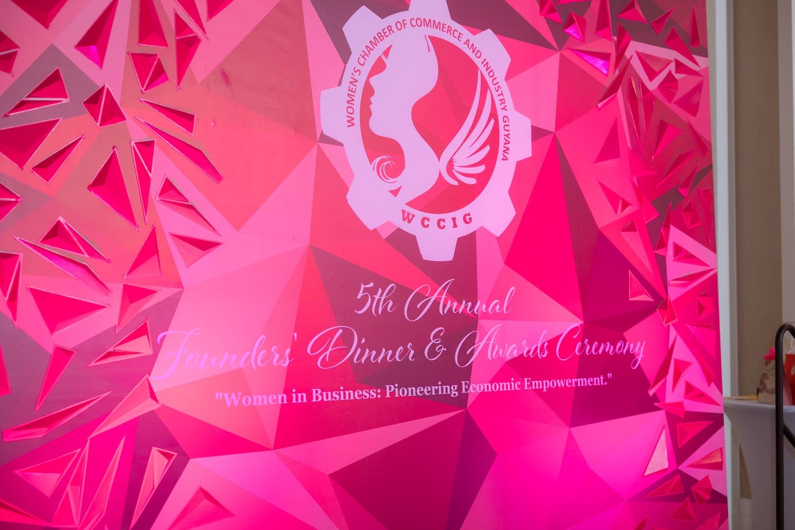 WCCIG Gala 2024 — event photograph